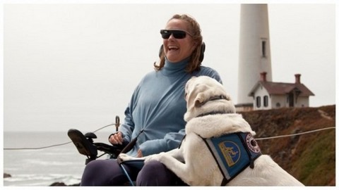 k&iacute;nh cho người khuyết tật